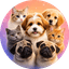 Petnori